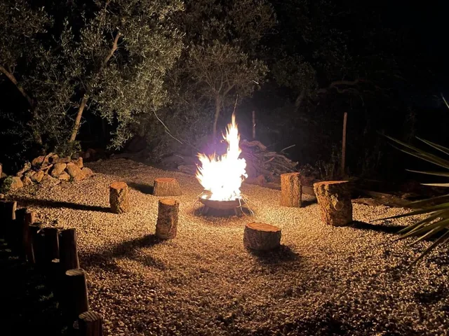 Fogueira entre oliveiras ao anoitecer